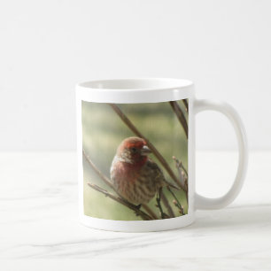 Little Bird on Canvas Coffee Mug