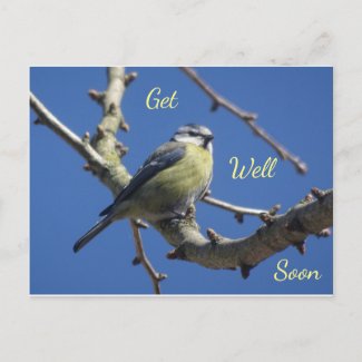 Little Bird with Blue Sky Get Well Soon Postcard