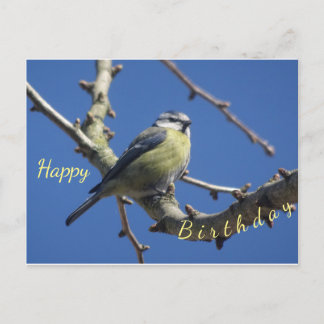 Little Bird with Blue Sky Happy Birthday Postcard