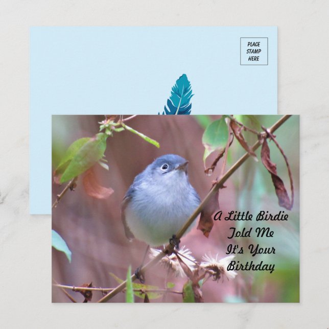 Little Birdie Birthday Postcard (Front/Back)