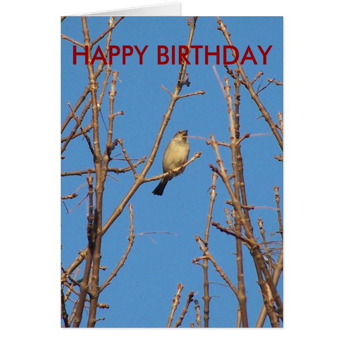 Little Birdie, HAPPY BIRTHDAY Cards
