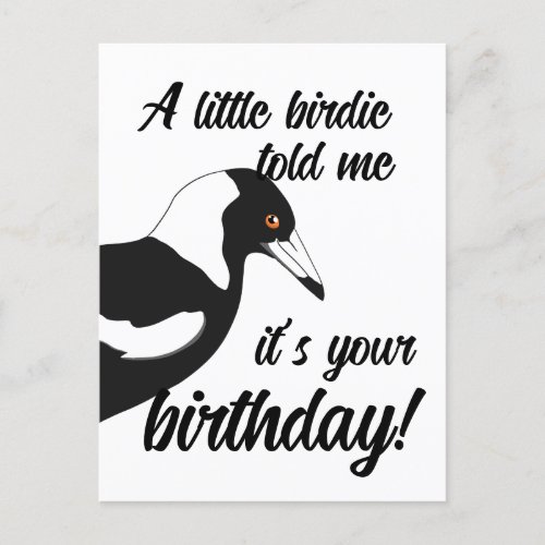 Little birdie told me its your birthday postcard