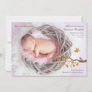 Little Birds Photo Birth Announcement