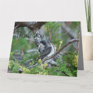 Little Birds Thank You Card