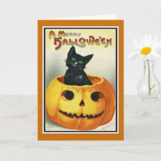 Little Black and Jack O' Lantern Halloween Card (Small Plant)