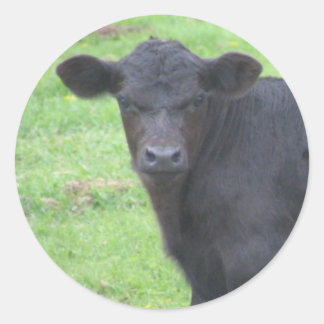 Little Black Bull Classic Round Sticker