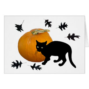 Little Black Cat with Pumpkin Halloween Card