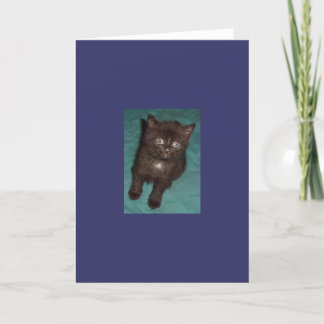 Little Black Kitten Card