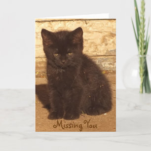 Little Black Kitten Missing You Card *Customizable