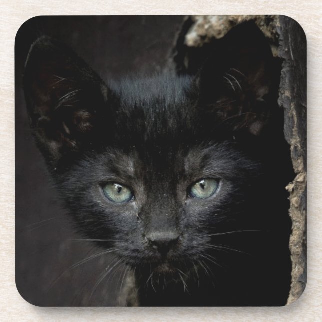 Little Black Kitty Beverage Coaster (Front)