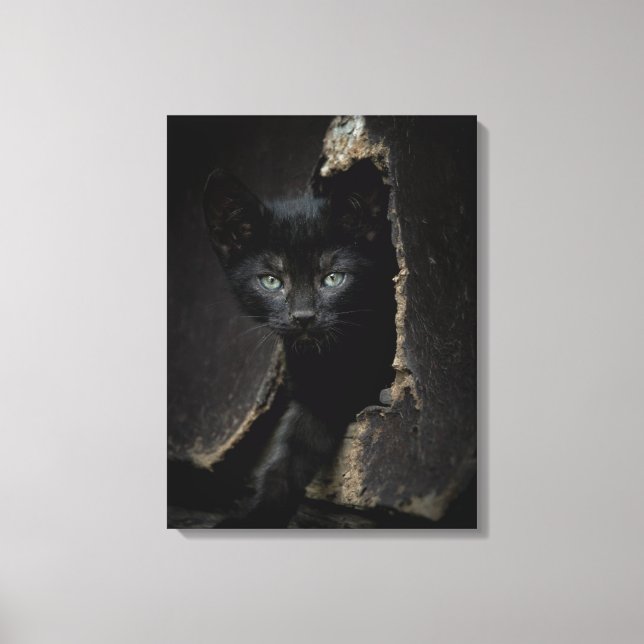 Little Black Kitty Canvas Print (Front)