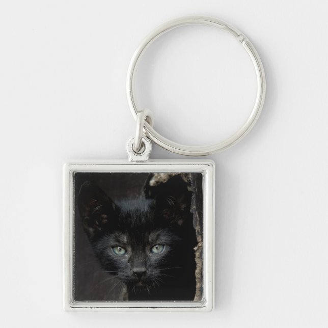 Little Black Kitty Keychain (Front)