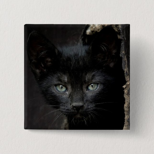 Little Black Kitty Pinback Button (Front)