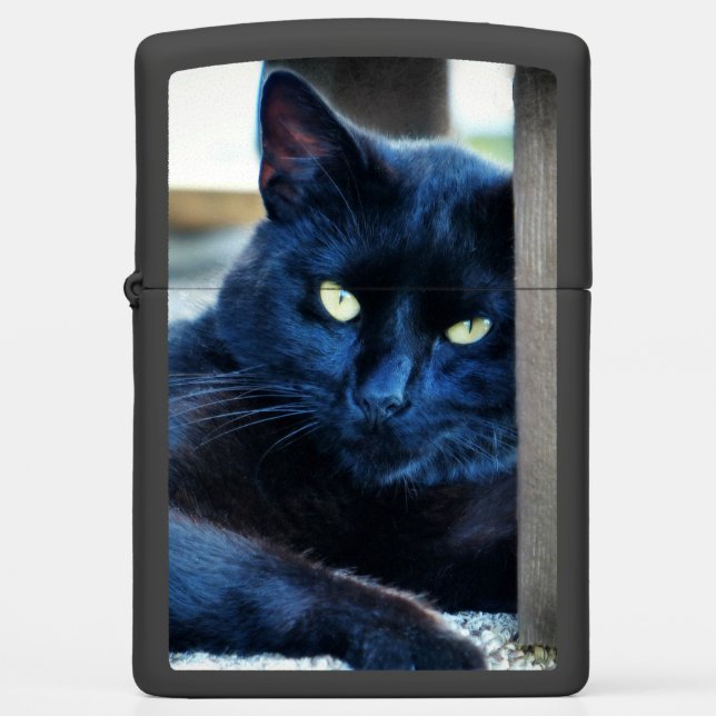Little Black Kitty Zippo Lighter (Front)