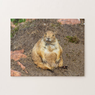 Little Black-Tailed Prairie Dog Jigsaw puzzle