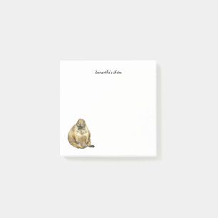Little Black-Tailed Prairie Dog Notes
