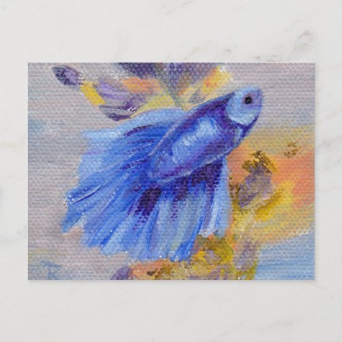 Little Blue Betta Fish Postcard