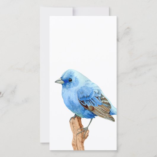 Little Blue Bird (Front)