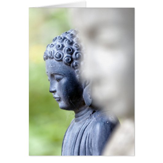 Little Blue Buddha Cards (Front)