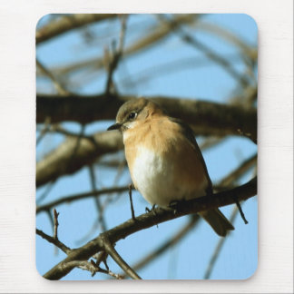 Little Blue Mouse Pad