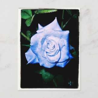 Little Blue Princess Postcard