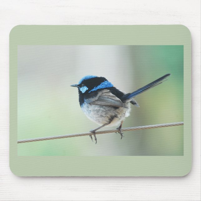 Little Blue Wren (Superb fairywren) Australia Mouse Pad (Front)