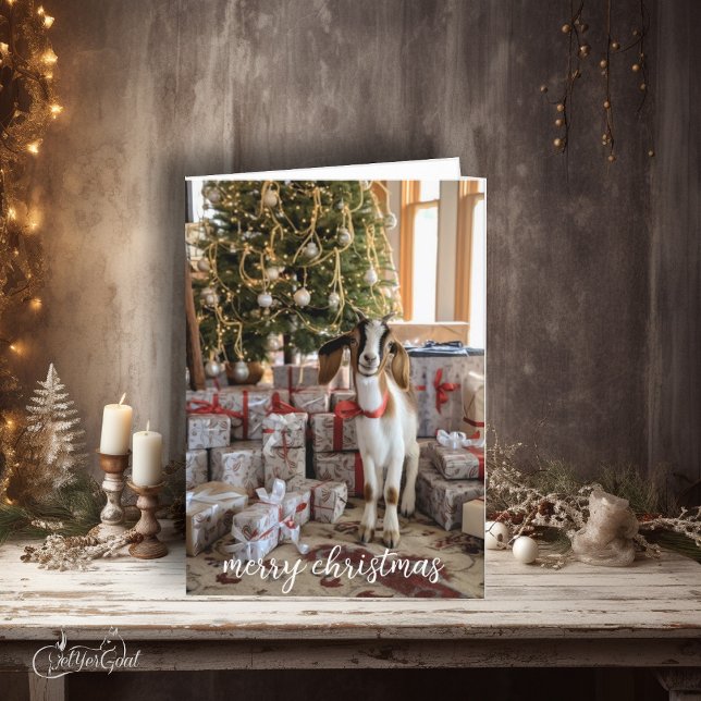 Little Boer Goat Ready for Christmas Card (Just looking for his present ,  who could resist this adorable boer goat kid?   #zazzlemade)