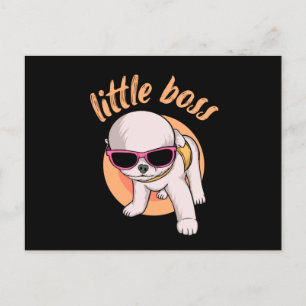 Little boss. Cute dog Postcard