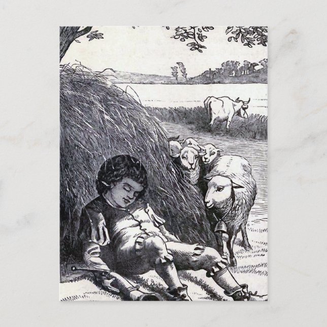 "Little Boy Blue" Vintage Illustration Postcard (Front)