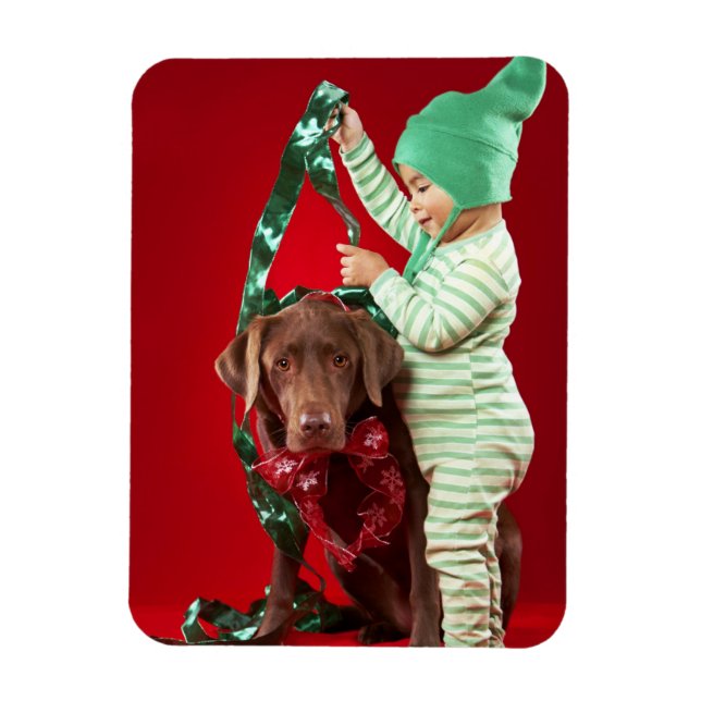 Little boy decorating a dog magnet (Vertical)