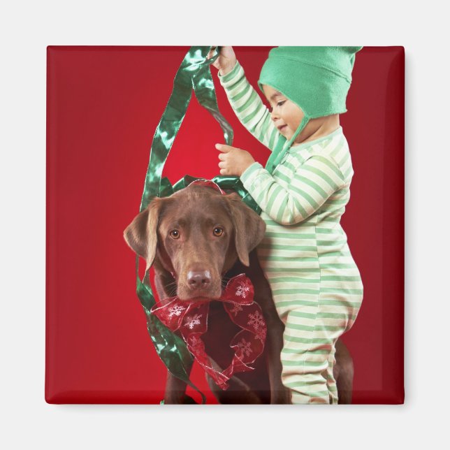 Little boy decorating a dog magnet (Front)