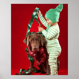 Little boy decorating a dog poster