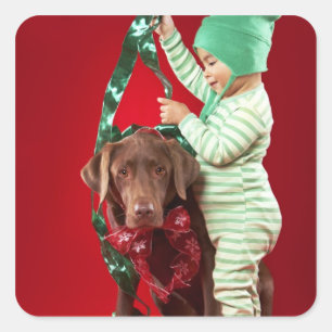 Little boy decorating a dog square sticker