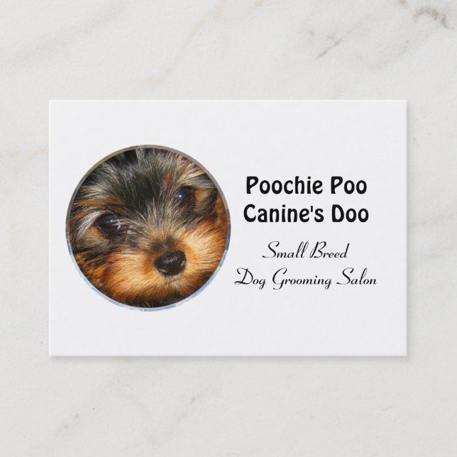 Little Breed Dog Groomer Professional  3.5" x 2.5" Business Card (Front)