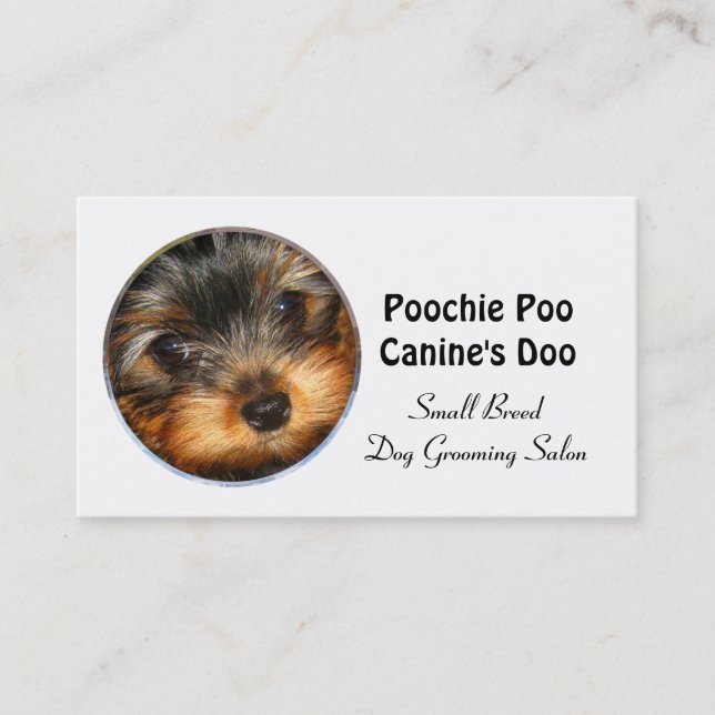 Little Breed Dog Groomer Professional Business Card (Front)