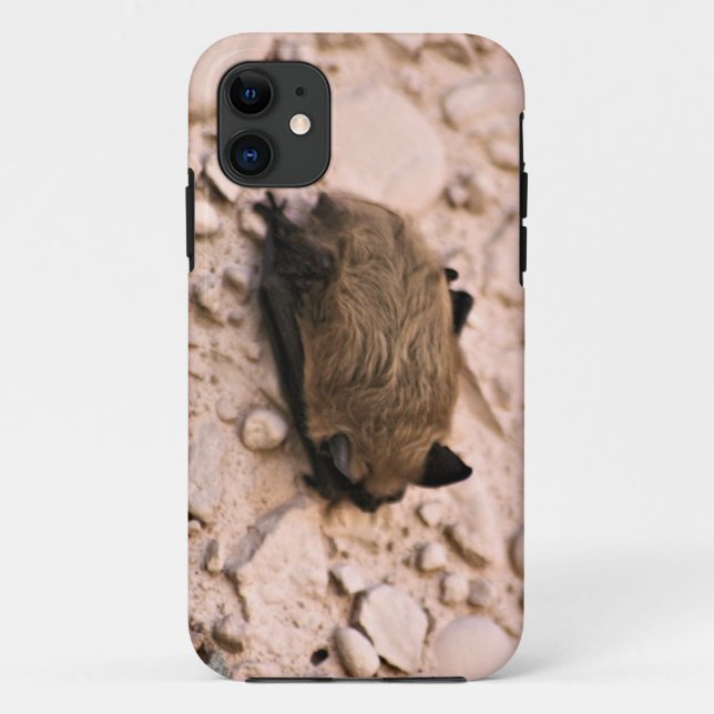 Little Brown Bat Case-Mate iPhone Case (Back)