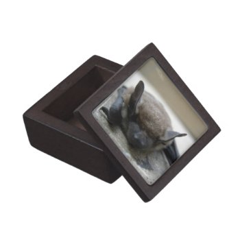 Little Brown Bat (myotis Lucifugus) Gift Box by JeanC_PurpleDucky at Zazzle