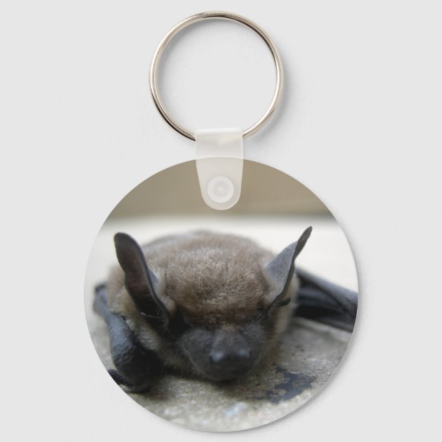 Little brown bat (Myotis lucifugus) Keychain (Front)