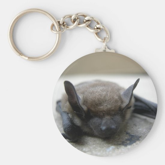 Little brown bat (Myotis lucifugus) Keychain