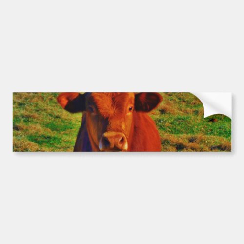 Little Brown Cow Bright Green Grass Bumper Sticker