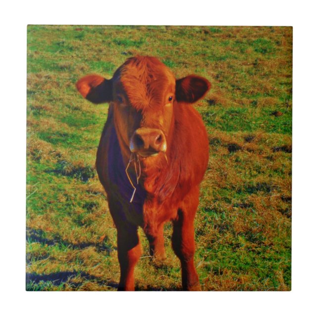 Little Brown Cow Bright Green Grass Ceramic Tile (Front)