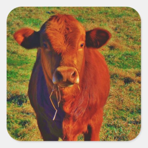 Little Brown Cow Bright Green Grass Square Sticker