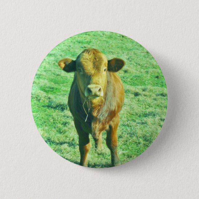 Little Brown Cow in Pastel Green Grass Pinback Button (Front)