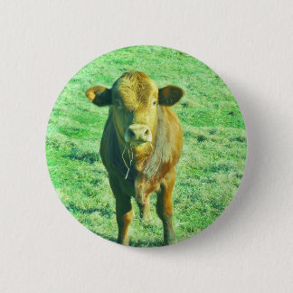 Little Brown Cow in Pastel Green Grass Pinback Button