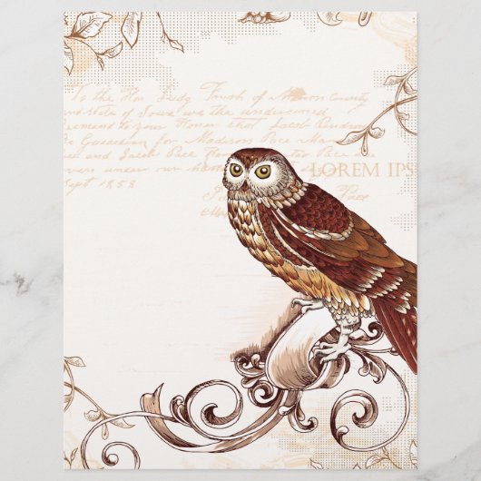 Little Brown Owl (Front)