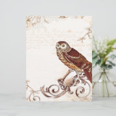 Little Brown Owl (Standing Front)