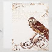 Little Brown Owl (Front/Back)
