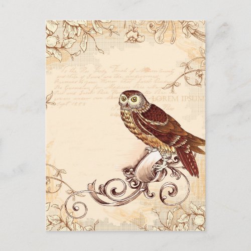 Little Brown Owl Postcard