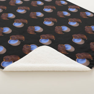 Little Brown Smooth Haired Guinea Pig, Sherpa Blanket