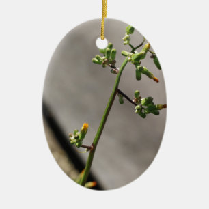 Little Bug, Little Flower Ceramic Ornament